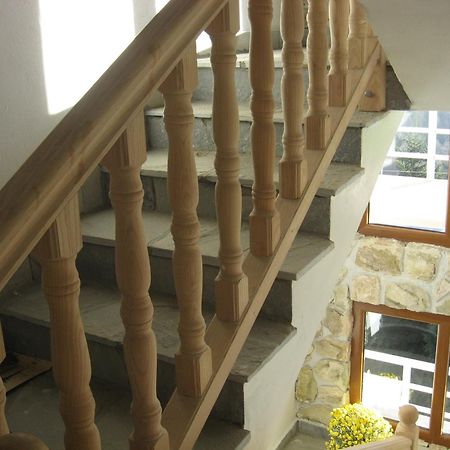 Villa Sofija Kopaonik Zewnętrze zdjęcie