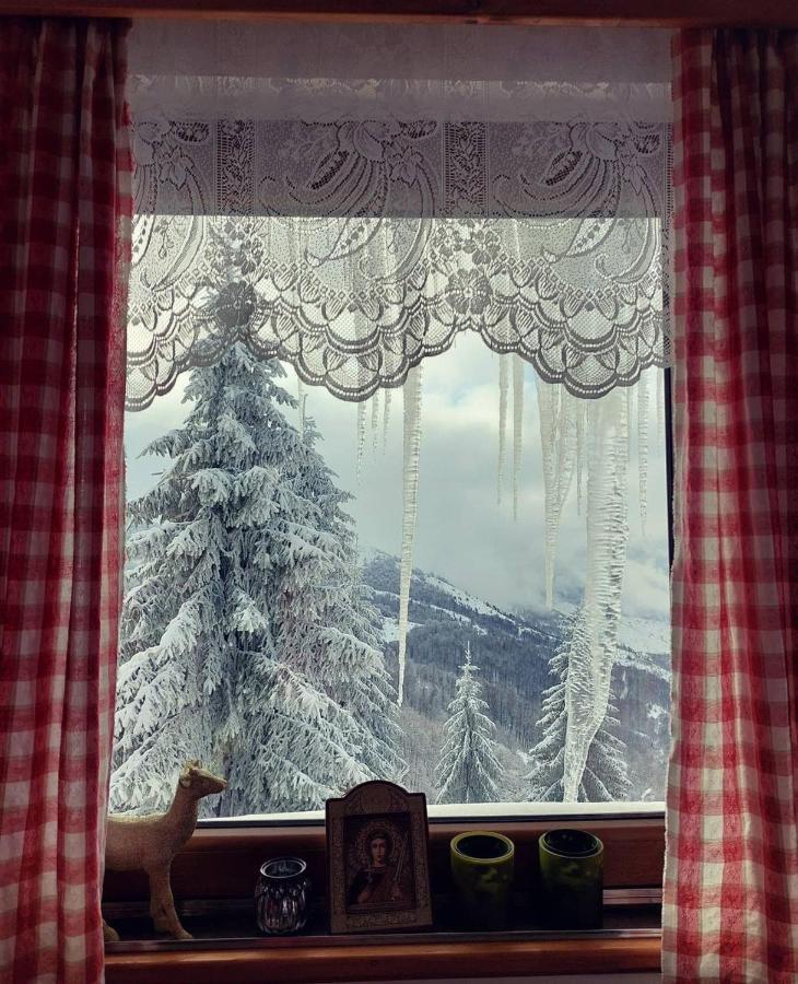 Villa Sofija Kopaonik Zewnętrze zdjęcie